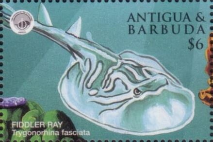 Minnie and Daisy Celebrating Bun Festival