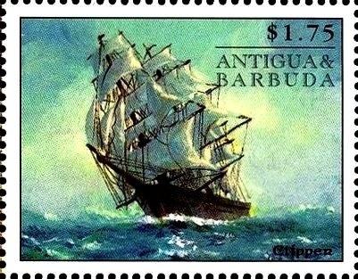 Mallard (Chen caerulescens)