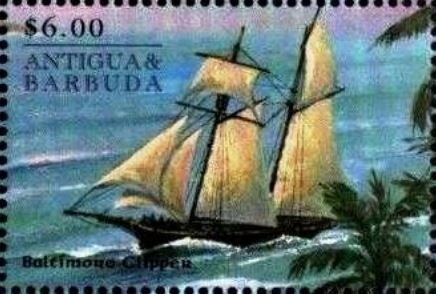 Phalaenopsis Zuma Urchin