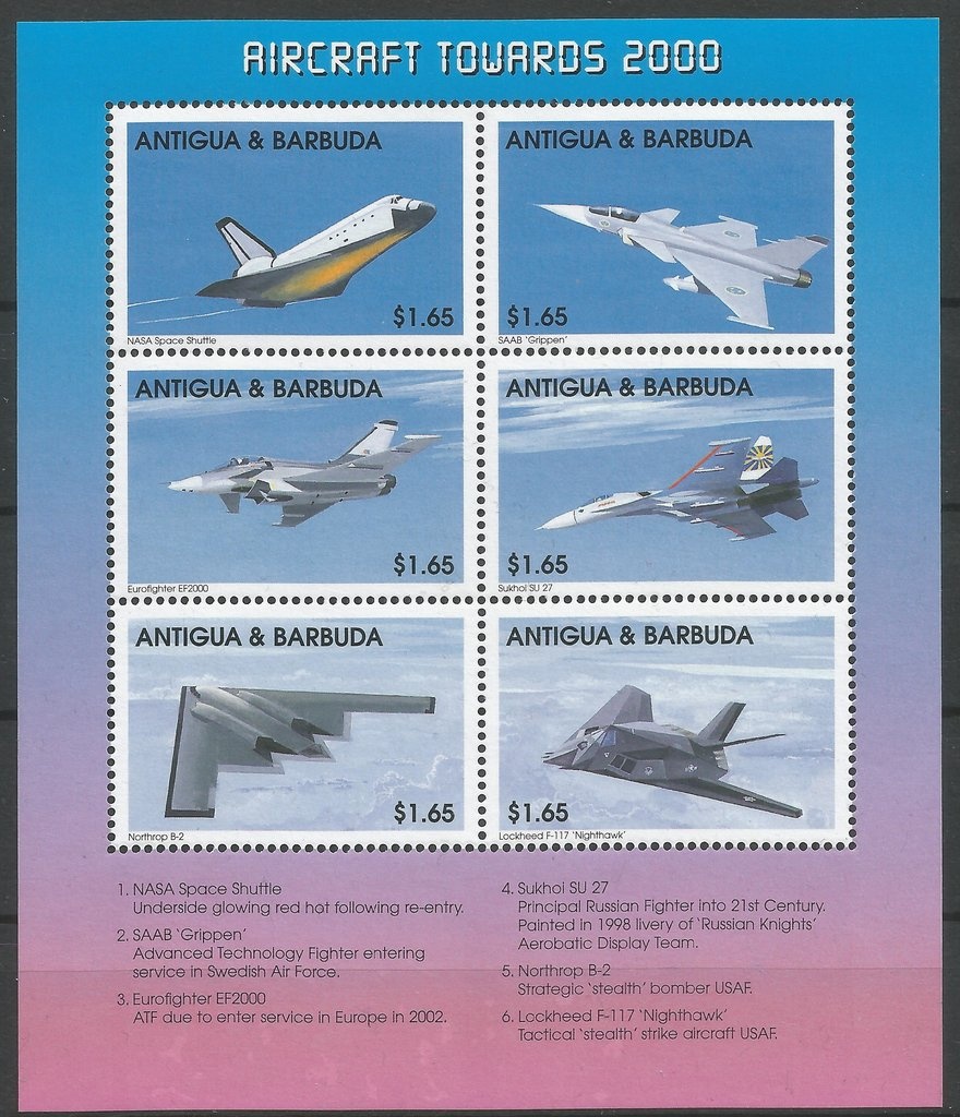 Red Tabby American Shorthair