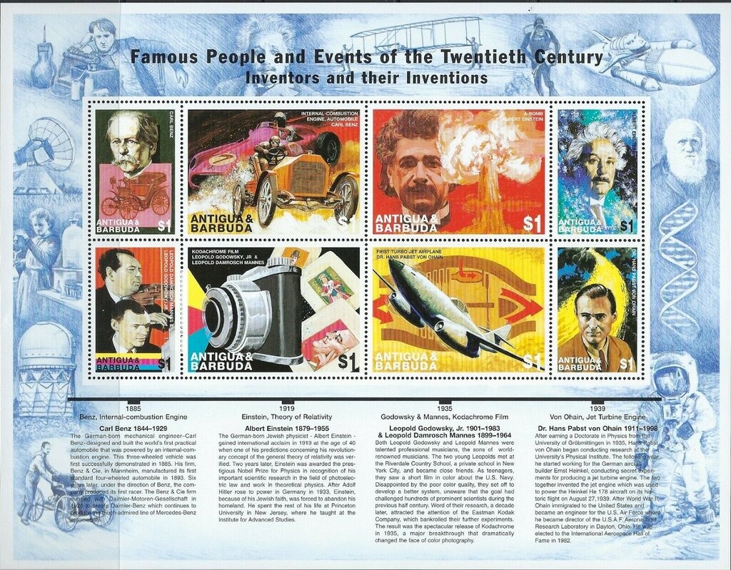 Camellias and Butterfly