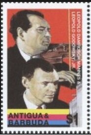 Smooth-billed Ani (Crotophaga ani)