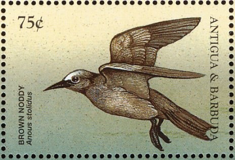 Marine Life of the Tropics