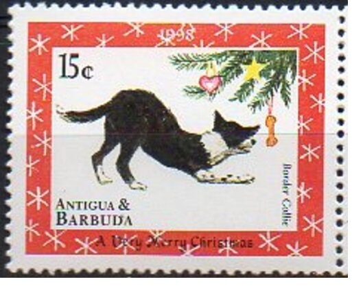 Roger Milla (Cameroun), USA 1994