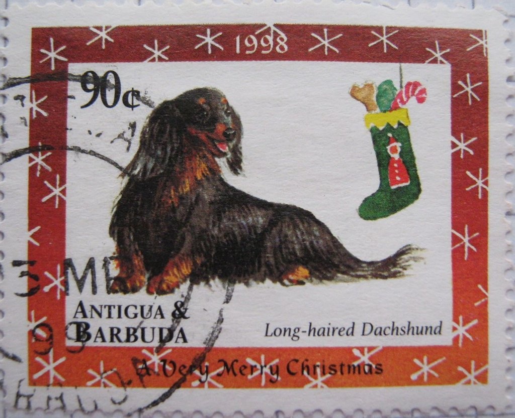 Elvis wearing Black and Yellow Striped Shirt