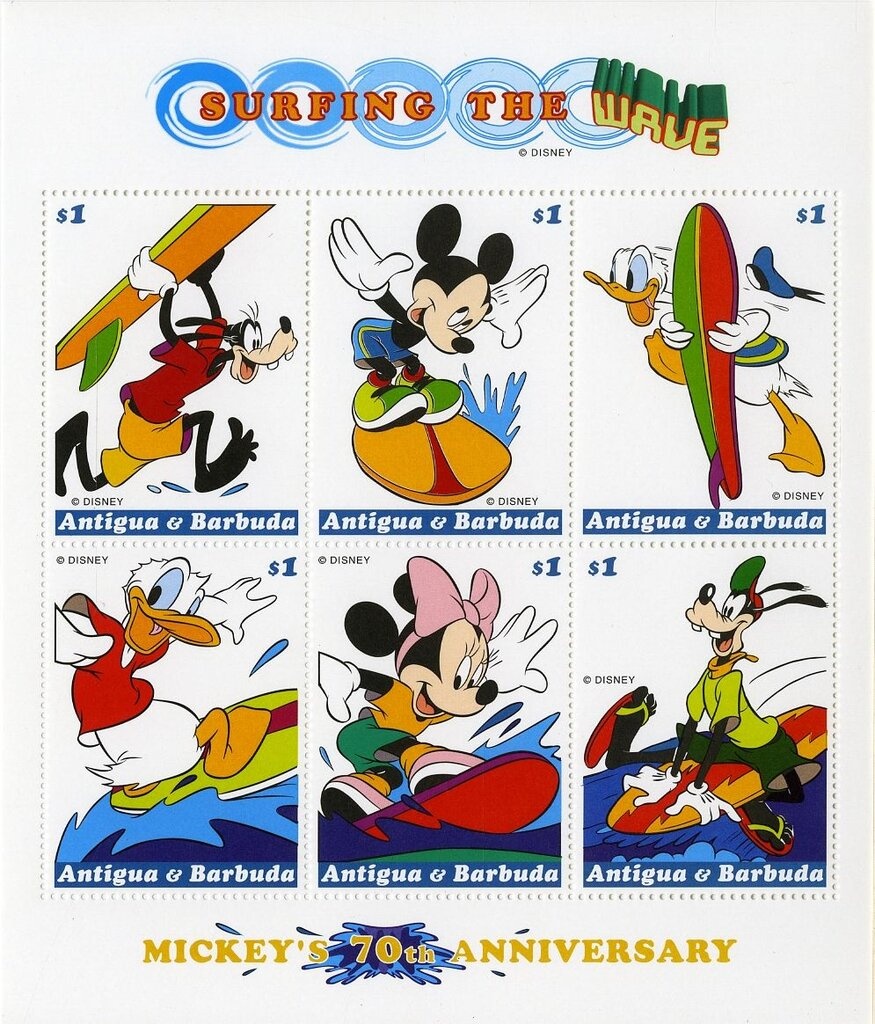 Bicolor American Shorthair