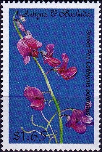 "The Defence of Cadiz" (detail) (Francisco de Zurbaran)