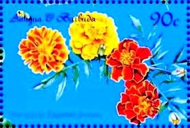 Snowdon Mountain Railway