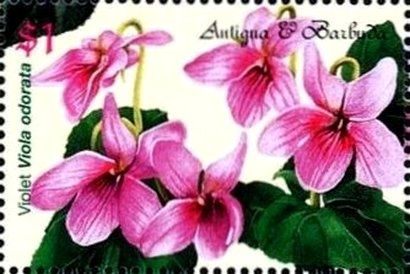 Elvis Singing into Microphone