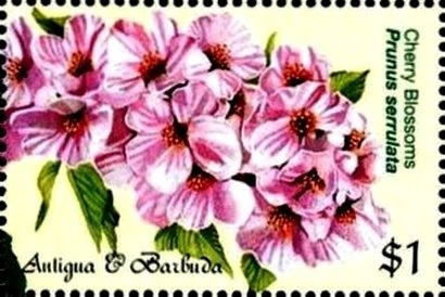 Pairs Figure Skating