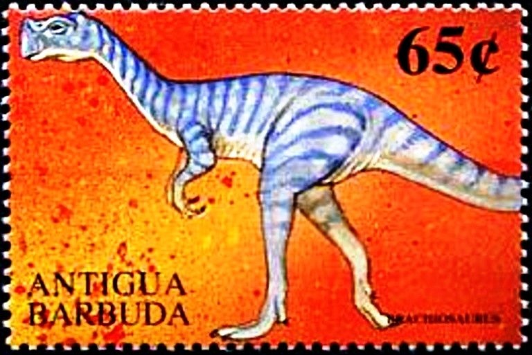 Emeka Okafor, Charlotte Bobcats