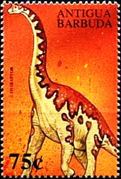 Seaside Mahoe (Thespesia populnea)