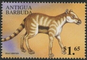 Fairy Lily (Zephyranthes grandiflora)