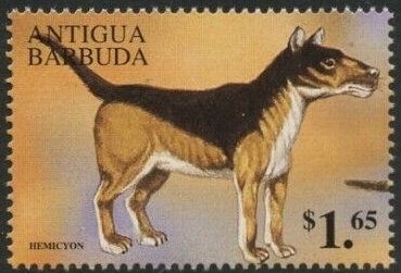 Daisy and Minnie at Dressing Table