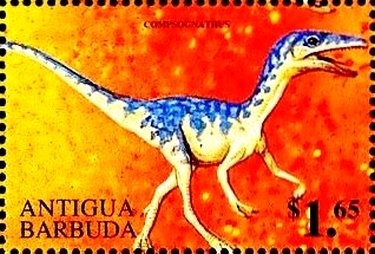 Elvis wearing Wide-brimmed Hat