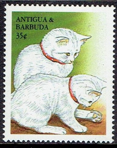 Charlie Chaplin Wearing Coat and Bowler Hat