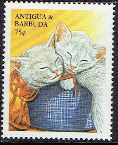 Wilhelm Conrad Röntgen (1845-1923)