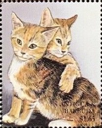 Martin X-24 Lifting Body Vehicle Pre-Space Shuttle, 1969