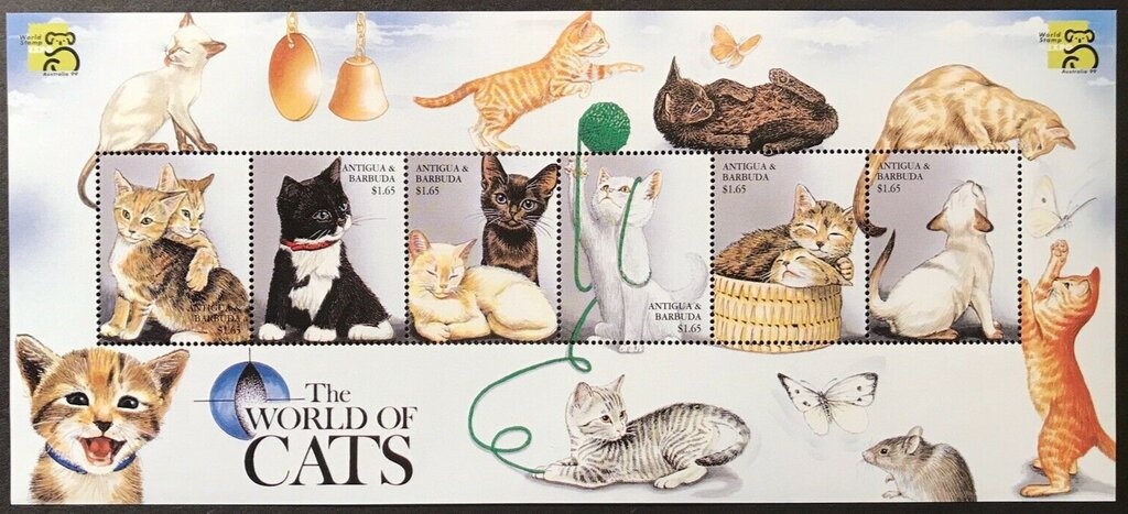 Black Kitten and Sleeping Cream Kitten