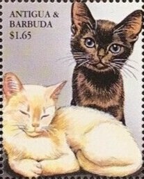 Concorde 01 Rolled out, Filton, 20th September 1971