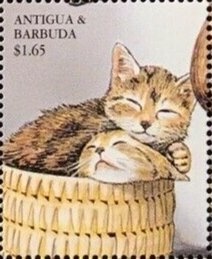 Wedding of Princess Mragaret and Antony Armstrong-Jones