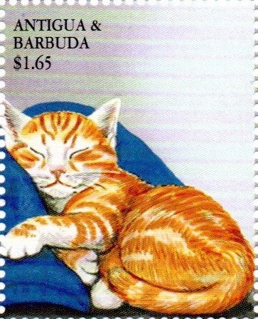 Trace McGrady, Houston Rockets