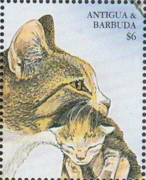 Panoramic View, Port Songwip'o