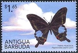 "Adoration of the Magi" (detail) (Fra. Angelico)