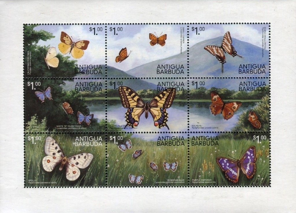 The Royal Wedding April 29, 2011 (2)