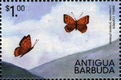 Kennedy in the South Pacific