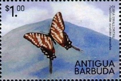 Donald's Nephews Reading Recruiting Poster for Pony Express