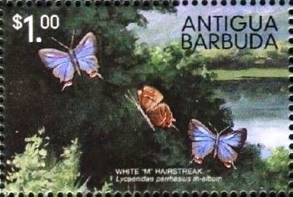 Elle Macpherson in Swimsuit