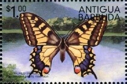 Daisy with Computer System