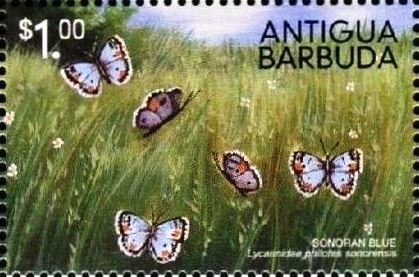 Chip 'n' Dale Sliding off Roof