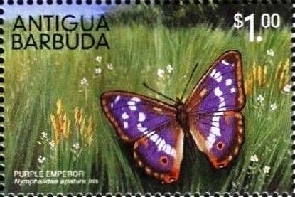 Princess Diana on Visit to Pakistan