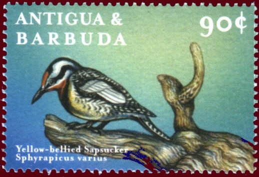 Ships approaching Islands