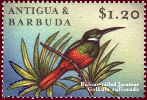 Lilac Fairy Helmet (Mycena pura)