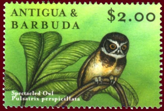 "Madonna and Child", Calci Parish Church (detail) (Gozzoli)