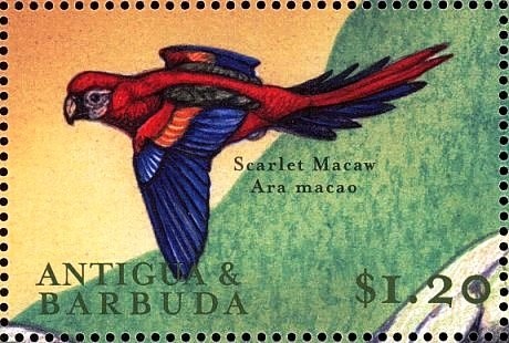 Mickey and Donald Demonstrating Akido