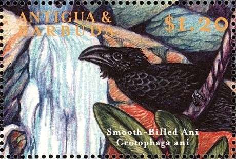 Donald's Nephews Reading Recruiting Poster for Pony Express