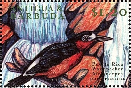 With Chancellor Adenauer, 1962