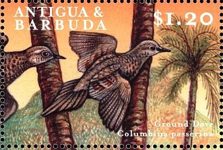 Louis Braille and Hands Reading Braille