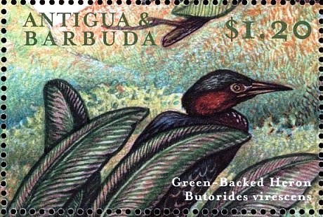 "Family Portrait" (detail), (Adriaen Thomasz Key)