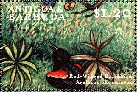 Goalkeeper - Overprinted