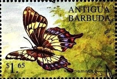 Michael Jackson wearing White Jacket with Black Armbands