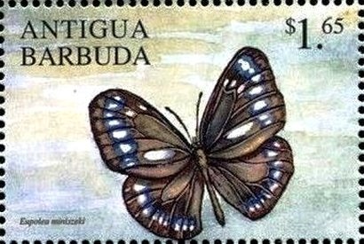 FIFA World Cup Trophy