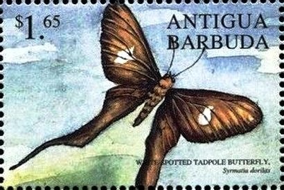 Van Allen Radiation Belt (discovered by Explorer)