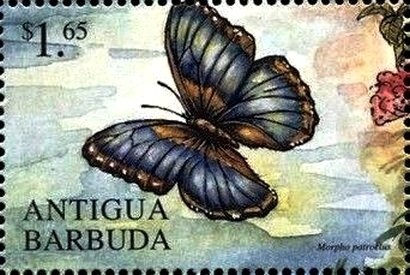 Jim Jackson, Houston Rockets