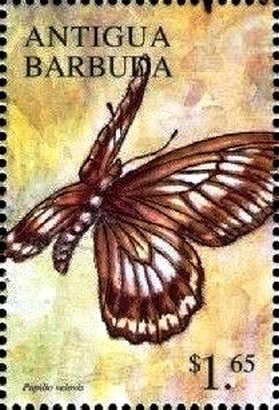 Katharine Graham (1917-2001)