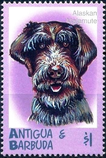 "Someday I might travel to another planet..."